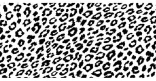 Decal 214 *ADDITIONAL OPTIONS