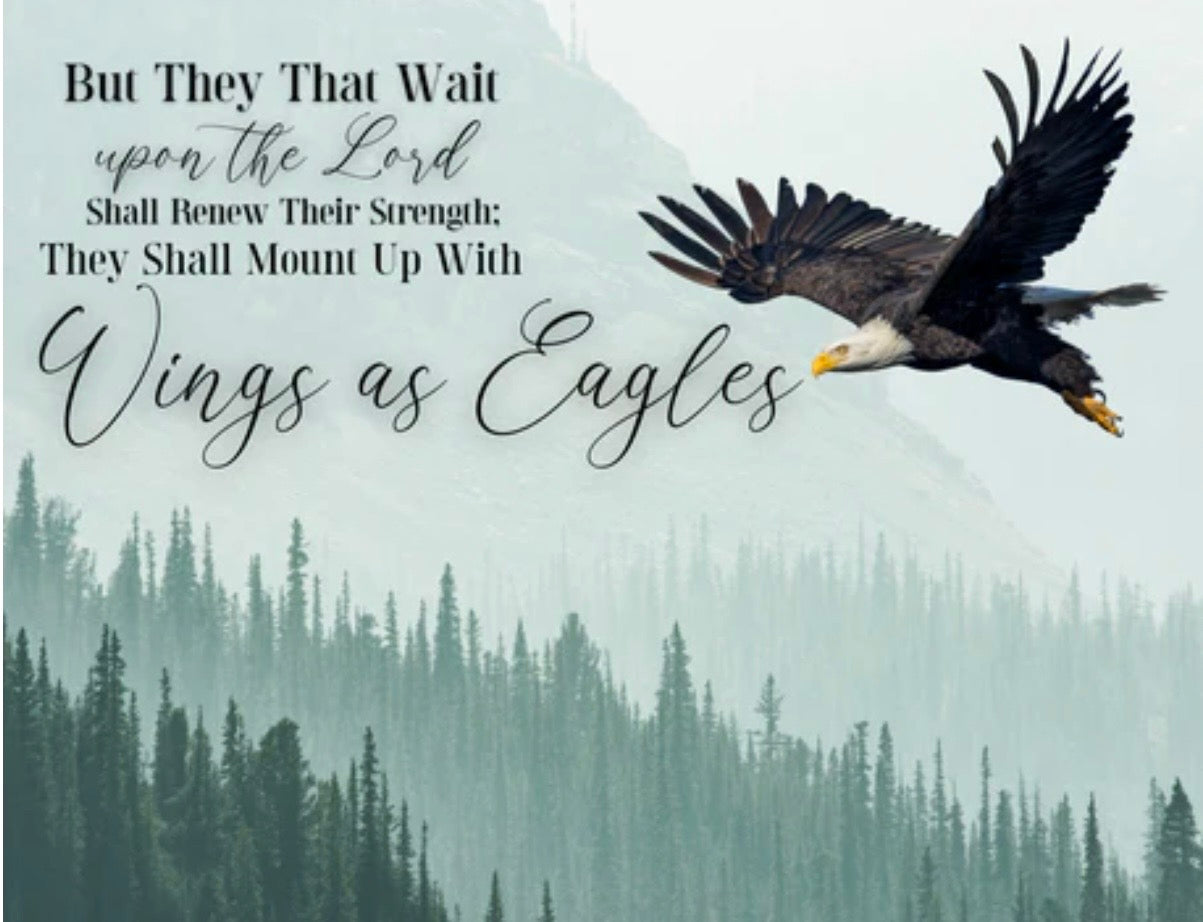Wings as Eagles – Isaiah 40:31 Sublimation Heat Transfer Add-On