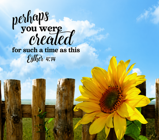 For Such a Time as This – Sunflower Faith Sublimation Transfer