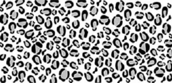 Decal 214 *ADDITIONAL OPTIONS